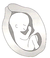 태교 어드바이스 - 임신 5개월, 아기도 엄마, 아빠 소리를 정확하게 들을 수 있어요