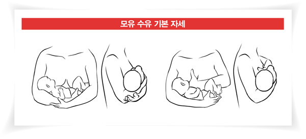 성공적인 모유 수유를 위한 가슴 관리 가이드 - ①