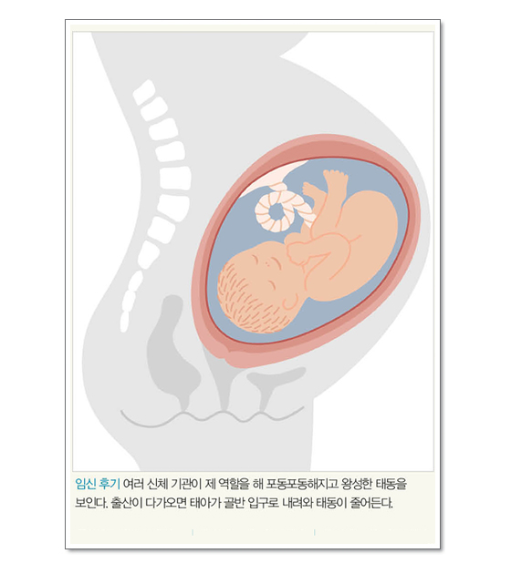 키워드로 살펴보는 임신 중 신체 변화 | 임신 후기